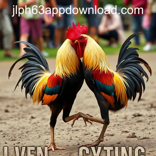 The Cultural and Controversial World of Cockfighting